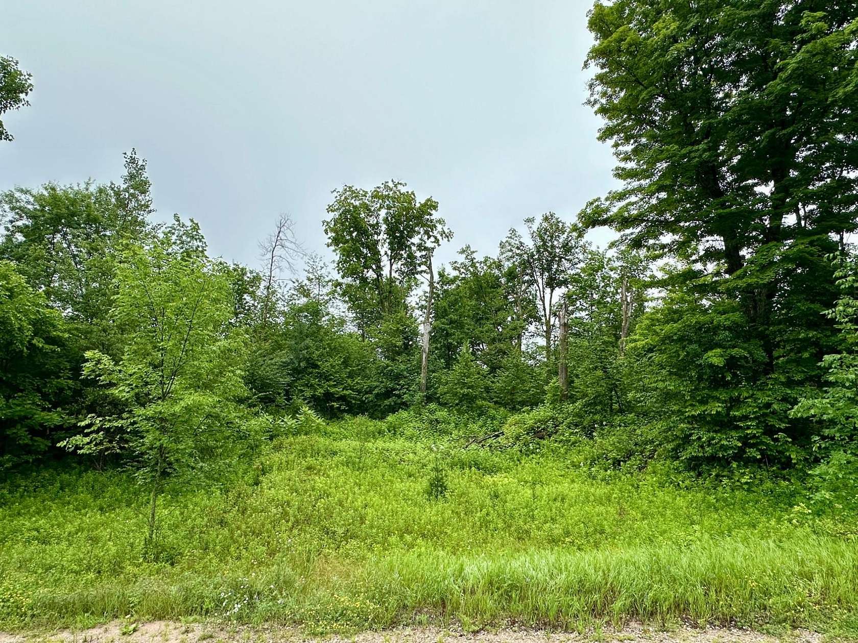 2 Acres of Residential Land for Sale in Wittenberg, Wisconsin