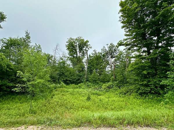 2 Acres of Residential Land for Sale in Wittenberg, Wisconsin