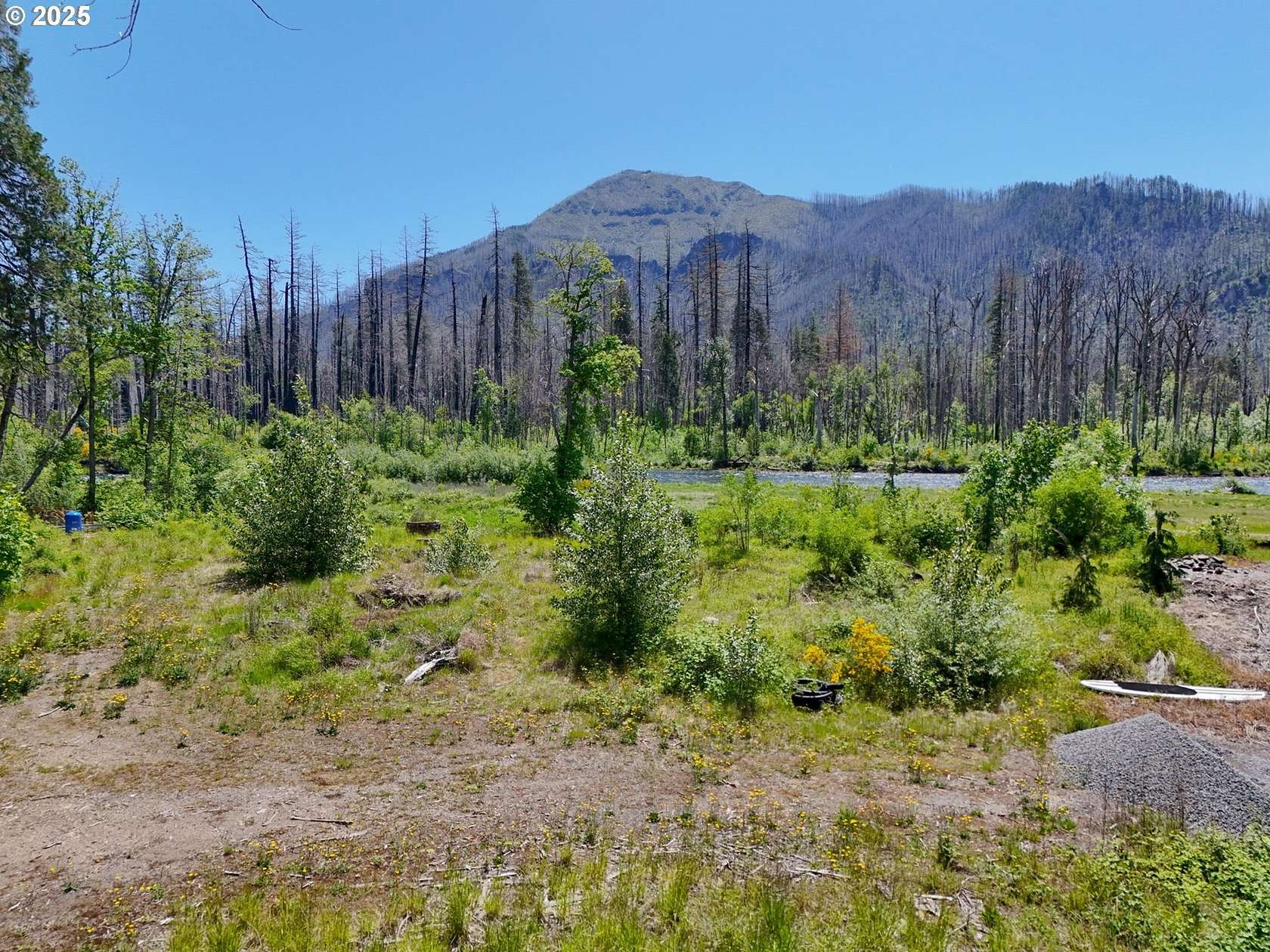 0.91 Acres of Residential Land for Sale in Blue River, Oregon