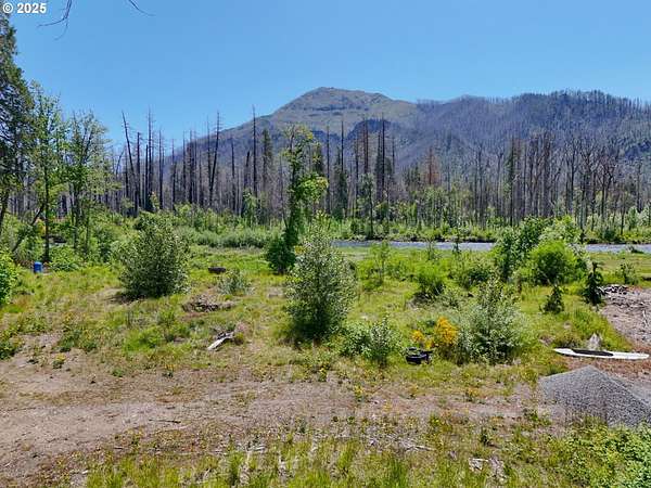 0.91 Acres of Residential Land for Sale in Blue River, Oregon