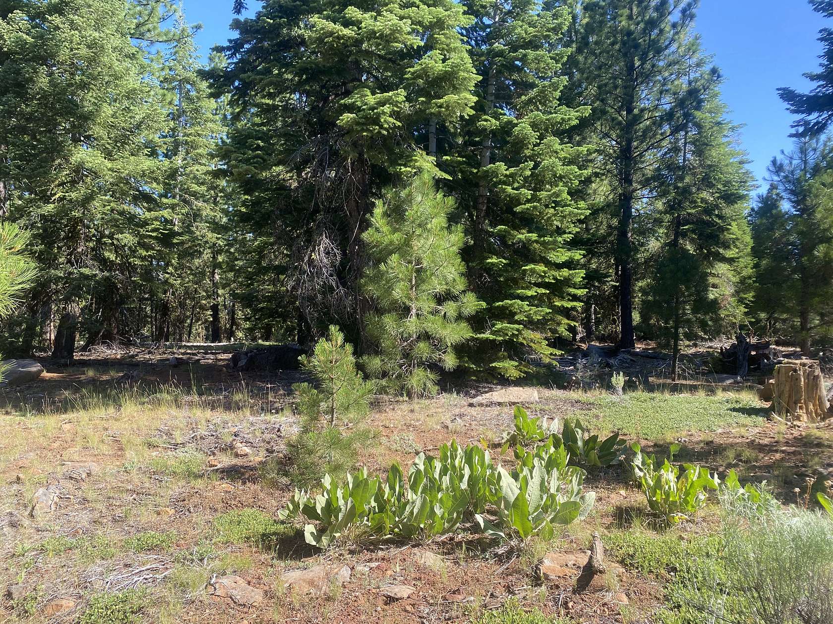 0.86 Acres of Residential Land for Sale in Alturas, California