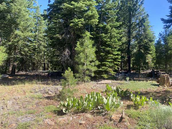0.86 Acres of Residential Land for Sale in Alturas, California