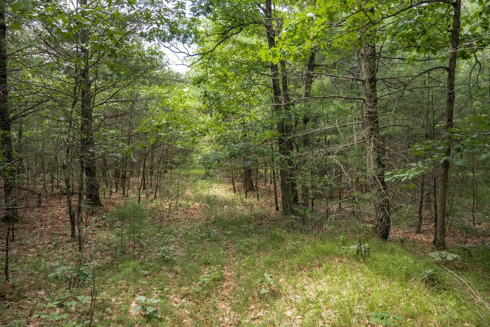5 Acres of Residential Land for Sale in Arkdale, Wisconsin