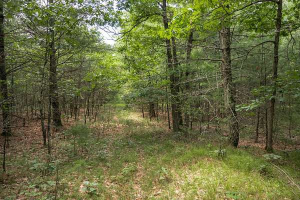 5 Acres of Residential Land for Sale in Arkdale, Wisconsin