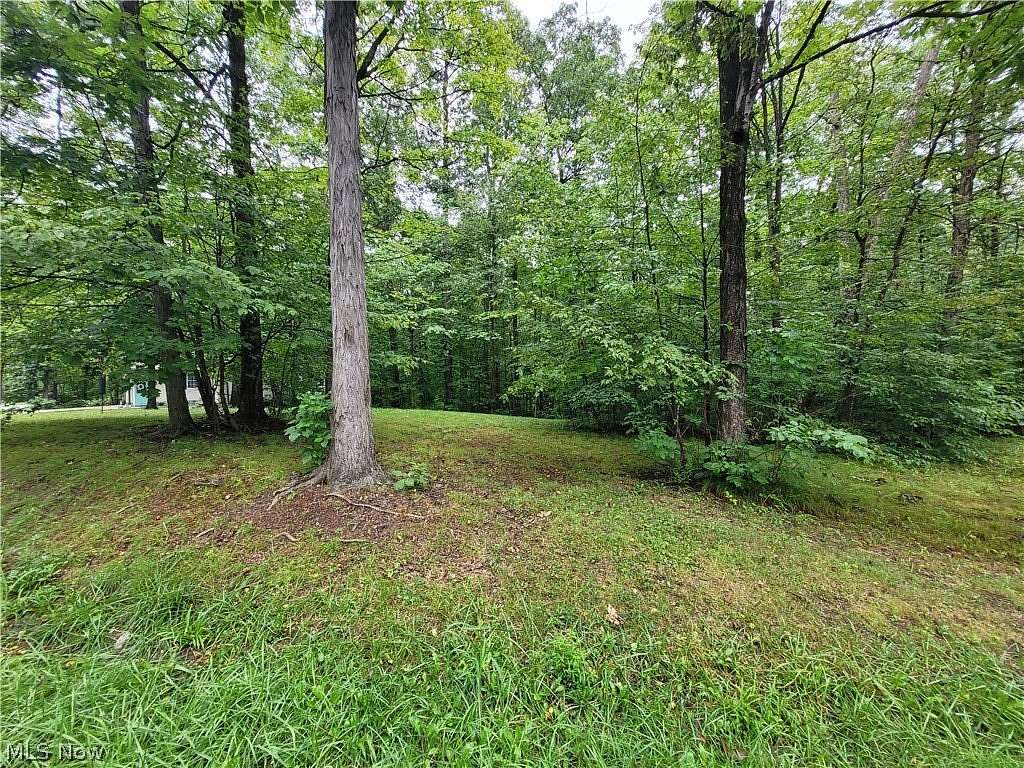 0.58 Acres of Land for Sale in West Salem, Ohio