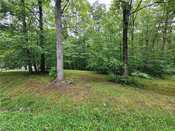 0.58 Acres of Land for Sale in West Salem, Ohio