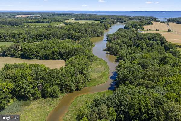 61.2 Acres of Land for Sale in Hague, Virginia