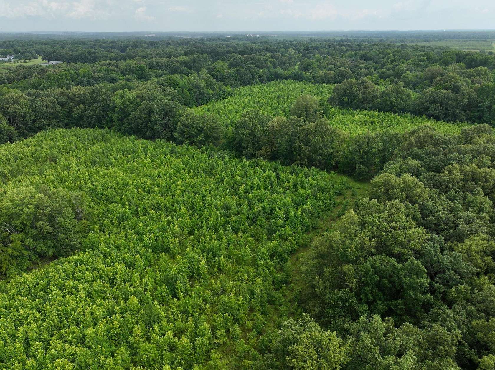 52.1 Acres of Recreational Land for Sale in Paducah, Kentucky