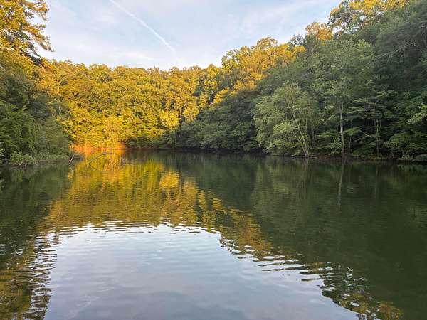 Land for Sale in Double Springs, Alabama