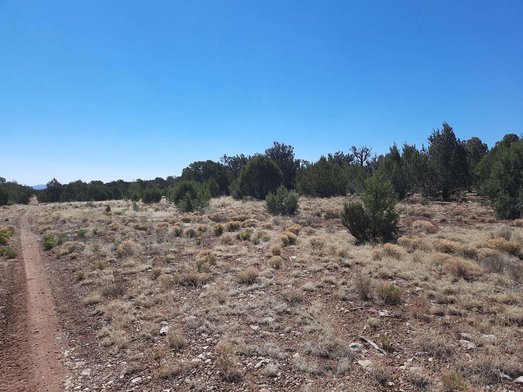 160 Acres of Land for Sale in Seligman, Arizona