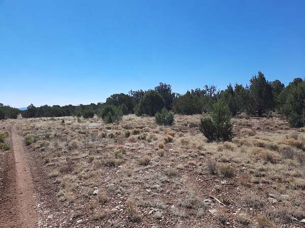 160 Acres of Land for Sale in Seligman, Arizona