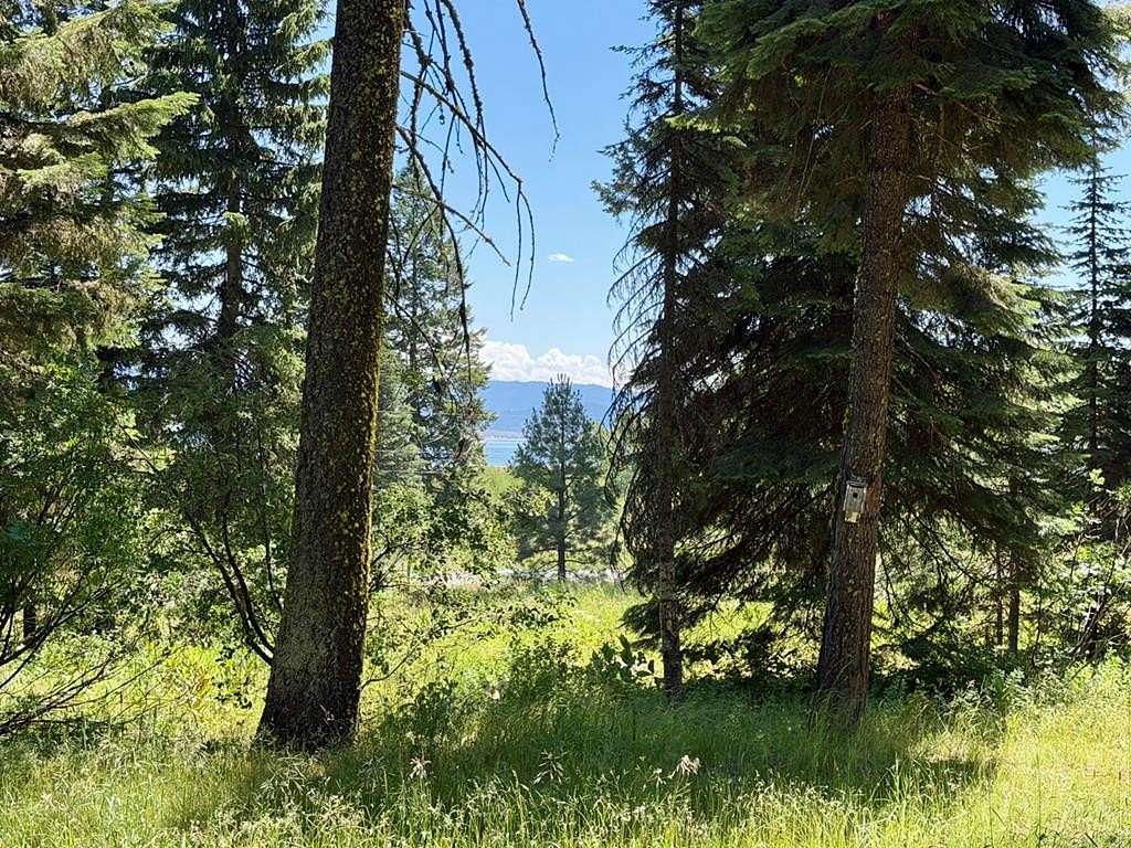 1 Acre of Land for Sale in Donnelly, Idaho