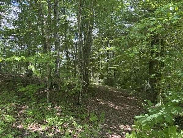 0.51 Acres of Land for Sale in Topton, North Carolina
