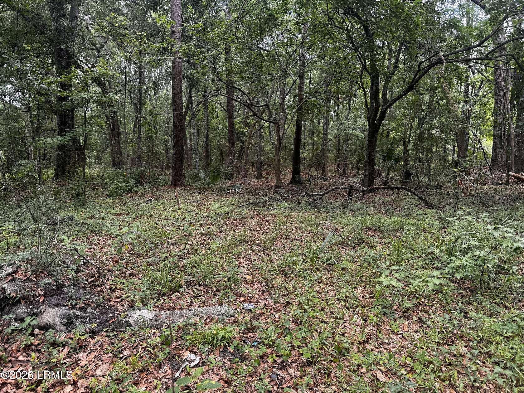 2.3 Acres of Residential Land for Sale in Beaufort, South Carolina
