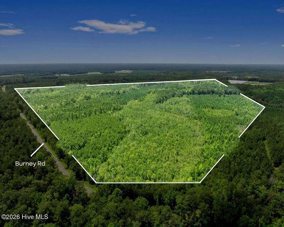 66.3 Acres of Recreational & Residential Land for Sale in White Oak, North Carolina