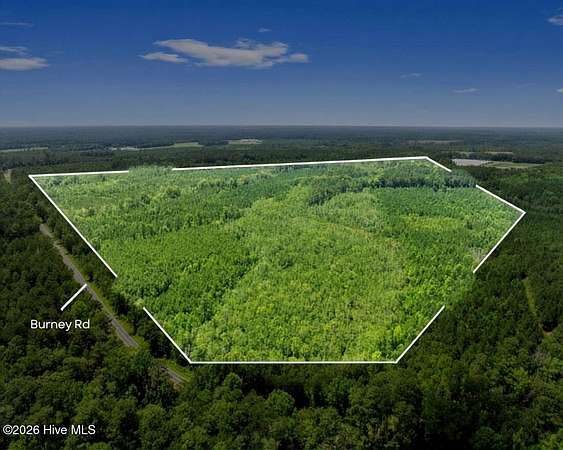 66.3 Acres of Recreational & Residential Land for Sale in White Oak, North Carolina
