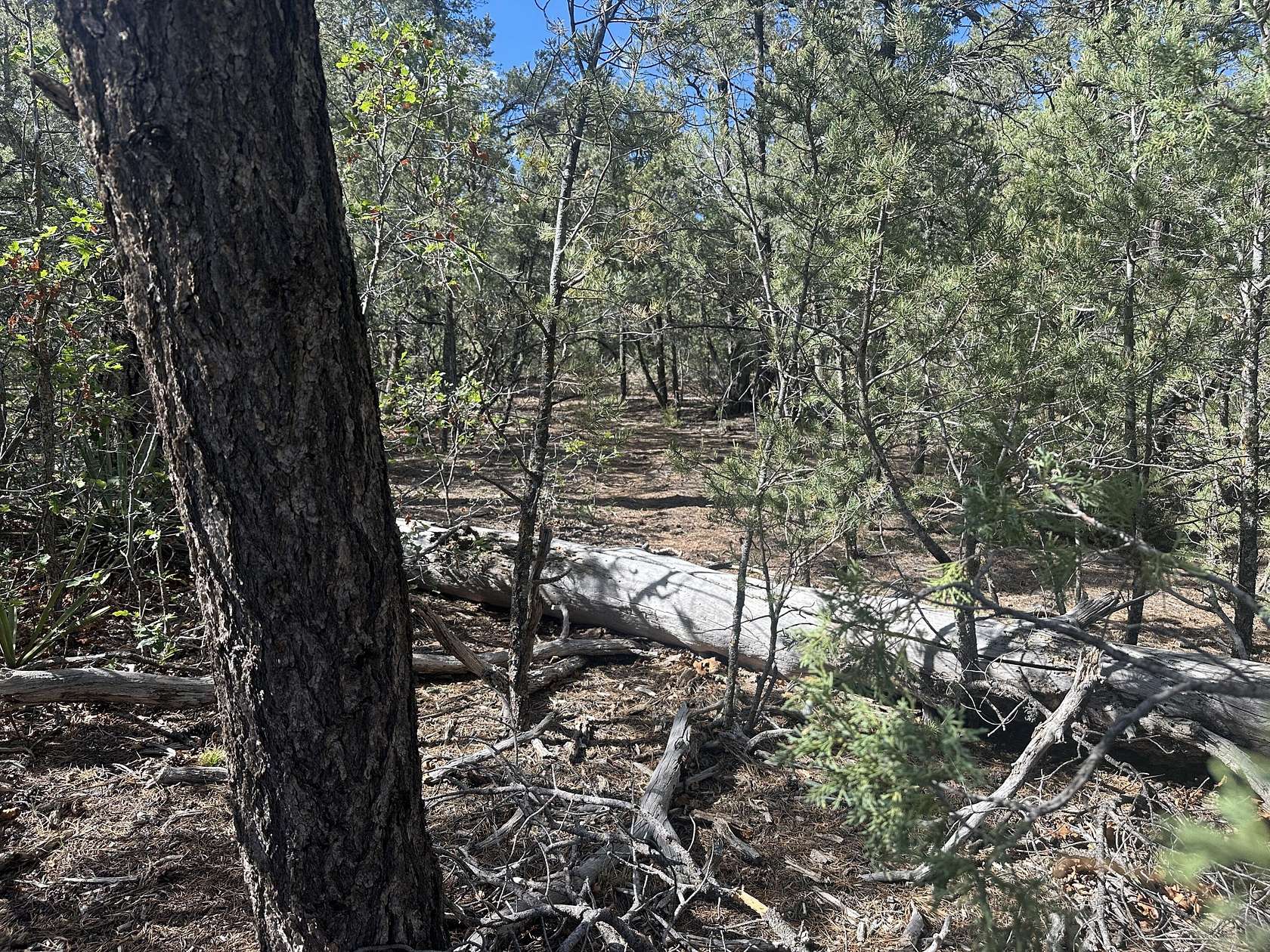 0.83 Acres of Residential Land for Sale in Tijeras, New Mexico