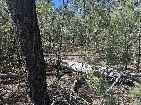 0.83 Acres of Residential Land for Sale in Tijeras, New Mexico