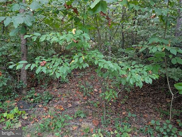 0.34 Acres of Residential Land for Sale in Locust Grove, Virginia
