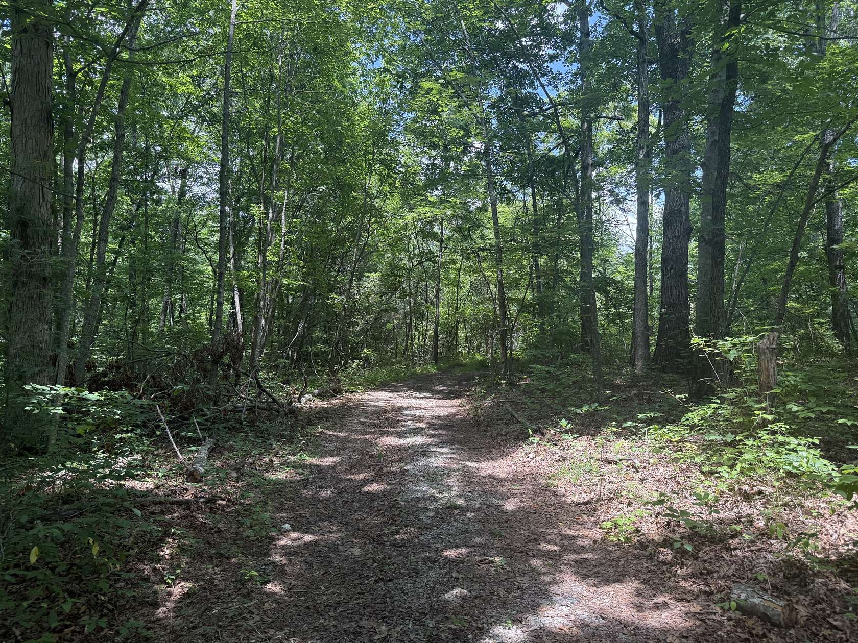 13.1 Acres of Agricultural Land for Sale in Wilder, Tennessee