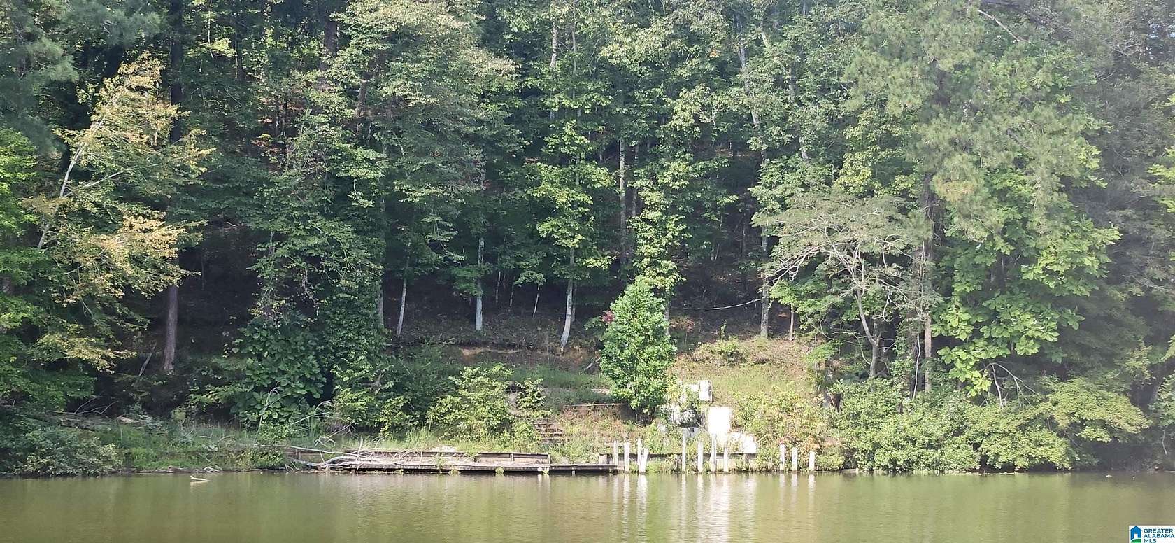 5 Acres of Land for Sale in Clanton, Alabama