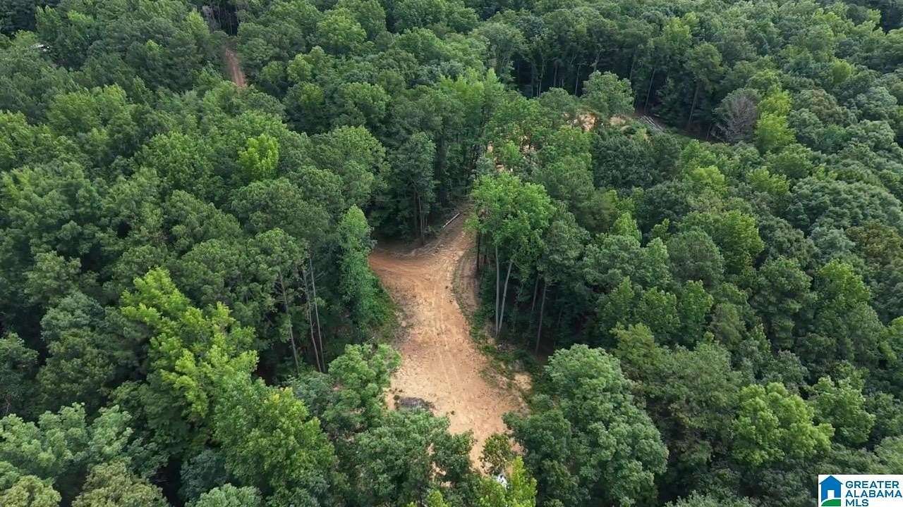 40 Acres of Recreational & Residential Land for Sale in Leeds, Alabama