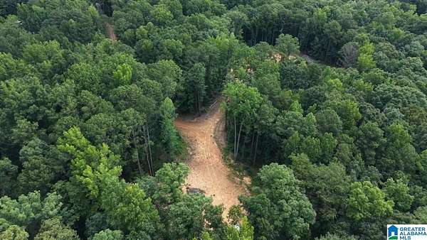 40 Acres of Recreational & Residential Land for Sale in Leeds, Alabama