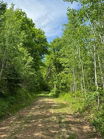 120 Acres of Land for Sale in Butternut, Wisconsin