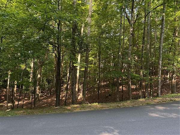 0.34 Acres of Residential Land for Sale in Waleska, Georgia