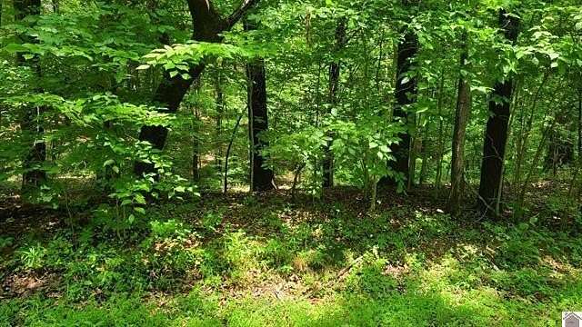 0.29 Acres of Residential Land for Sale in Murray, Kentucky