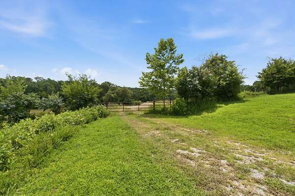 54 Acres of Recreational & Residential Land for Sale in Ava, Missouri