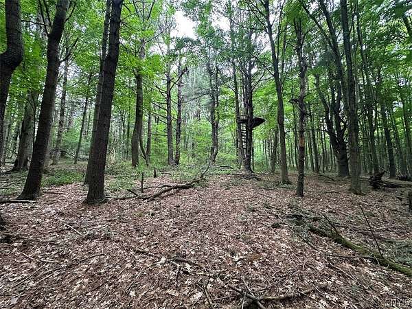 5.4 Acres of Land for Sale in Hunt, New York