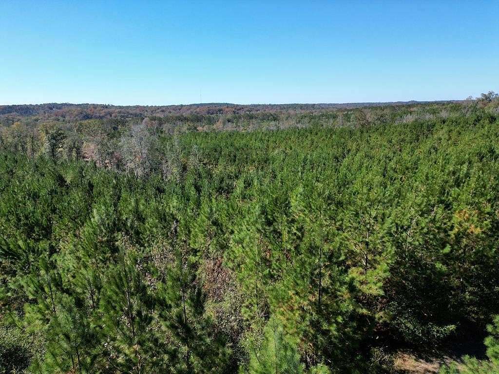 139 Acres of Recreational & Residential Land for Sale in Eufaula, Alabama