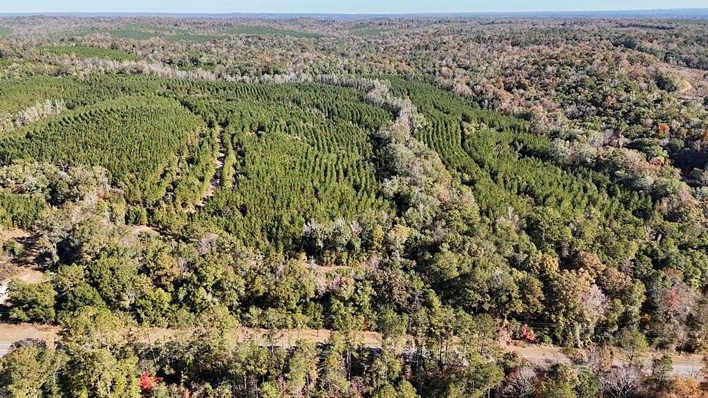 118 Acres of Recreational Land for Sale in Eufaula, Alabama