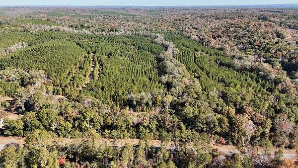 118 Acres of Recreational Land for Sale in Eufaula, Alabama