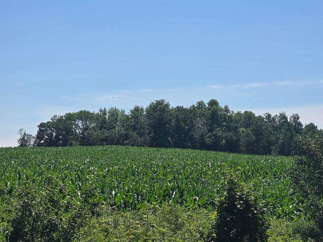 80 Acres of Land for Sale in Frederic, Wisconsin
