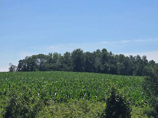 80 Acres of Land for Sale in Frederic, Wisconsin