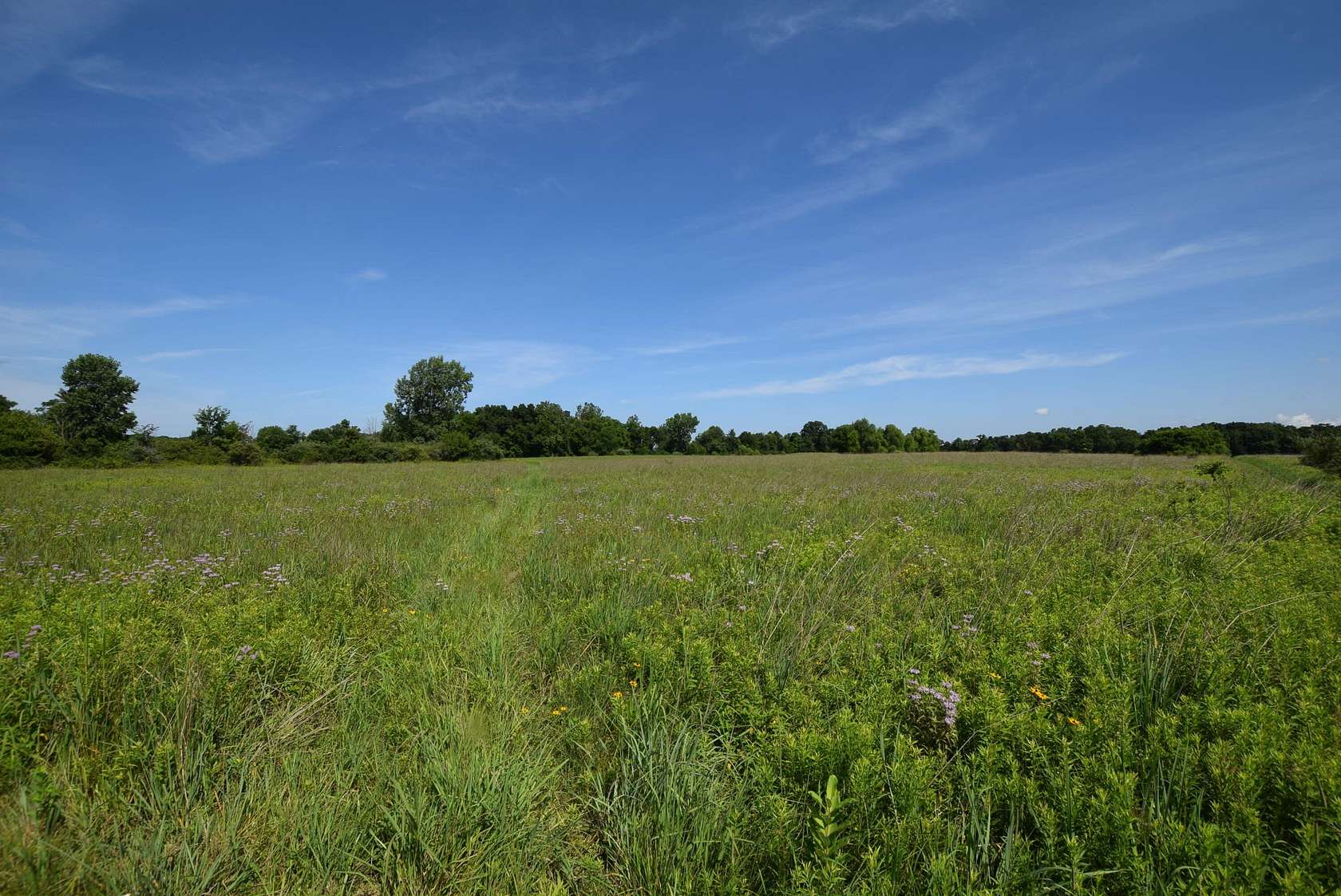 51.7 Acres of Land for Sale in Urbana, Ohio