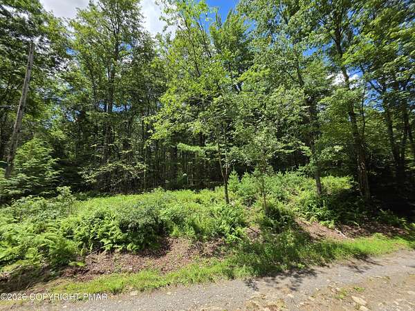 0.38 Acres of Residential Land for Sale in Blakeslee, Pennsylvania
