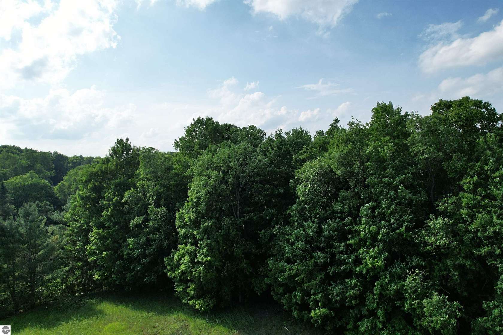 26 Acres of Recreational Land for Sale in Mesick, Michigan