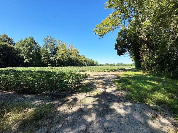 52.6 Acres of Land for Auction in Courtland, Virginia