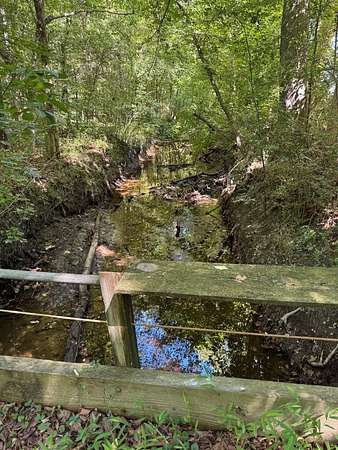 69.6 Acres of Recreational & Residential Land for Auction in Courtland, Virginia