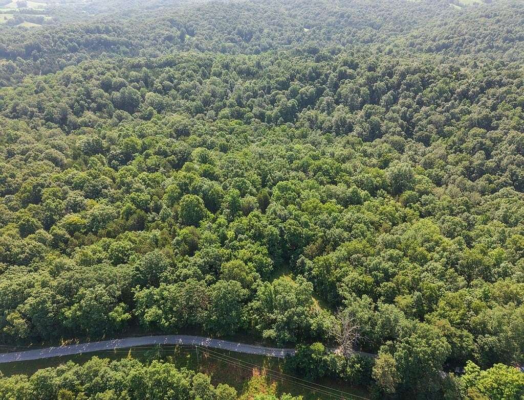 40.4 Acres of Recreational Land for Sale in Brooksville, Kentucky