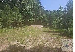 0.54 Acres of Land for Sale in Harleton, Texas