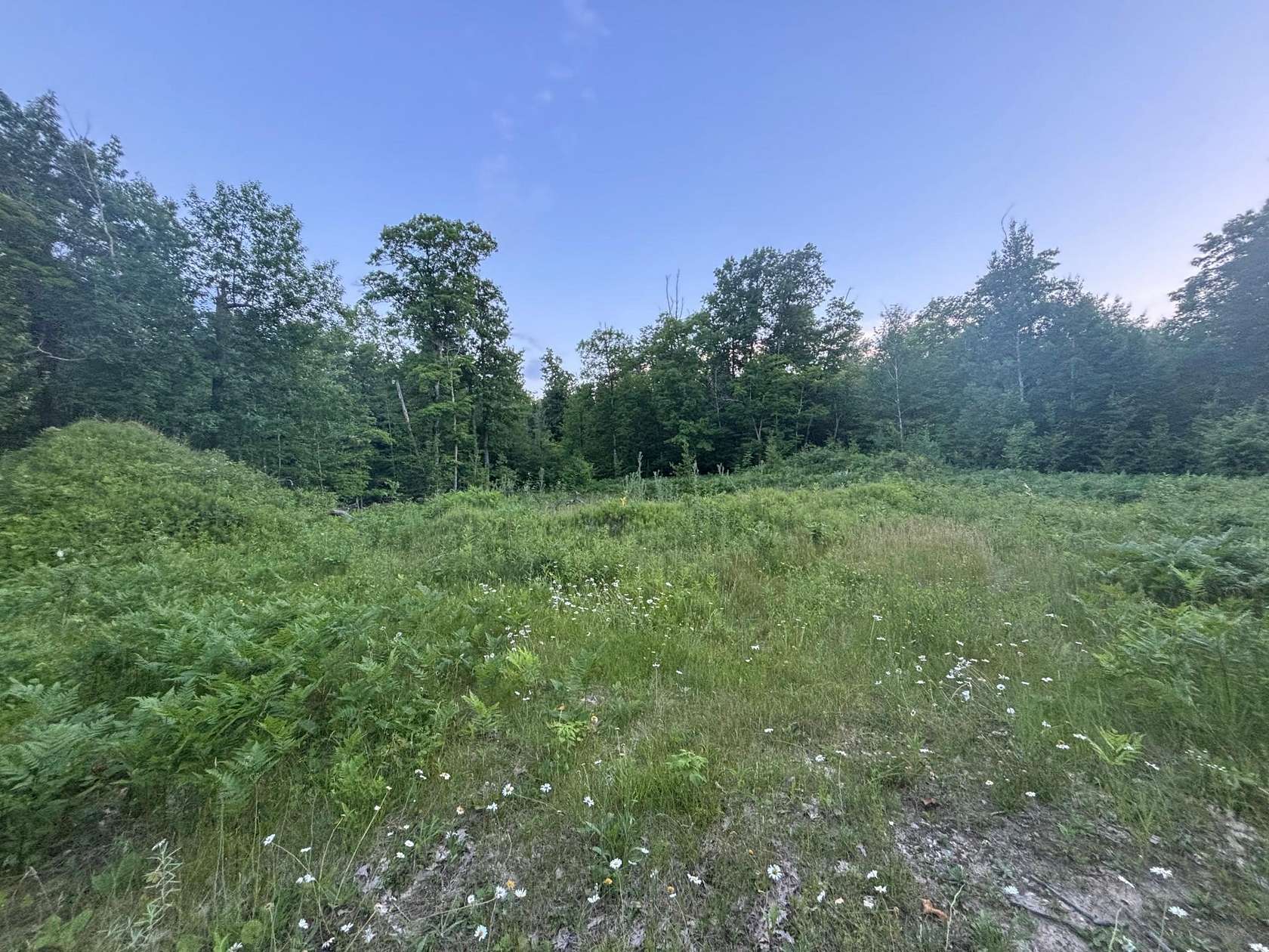 20 Acres of Recreational Land for Sale in Laporte, Minnesota
