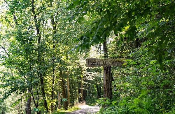 45.1 Acres of Recreational Land with Home for Sale in Montoursville, Pennsylvania