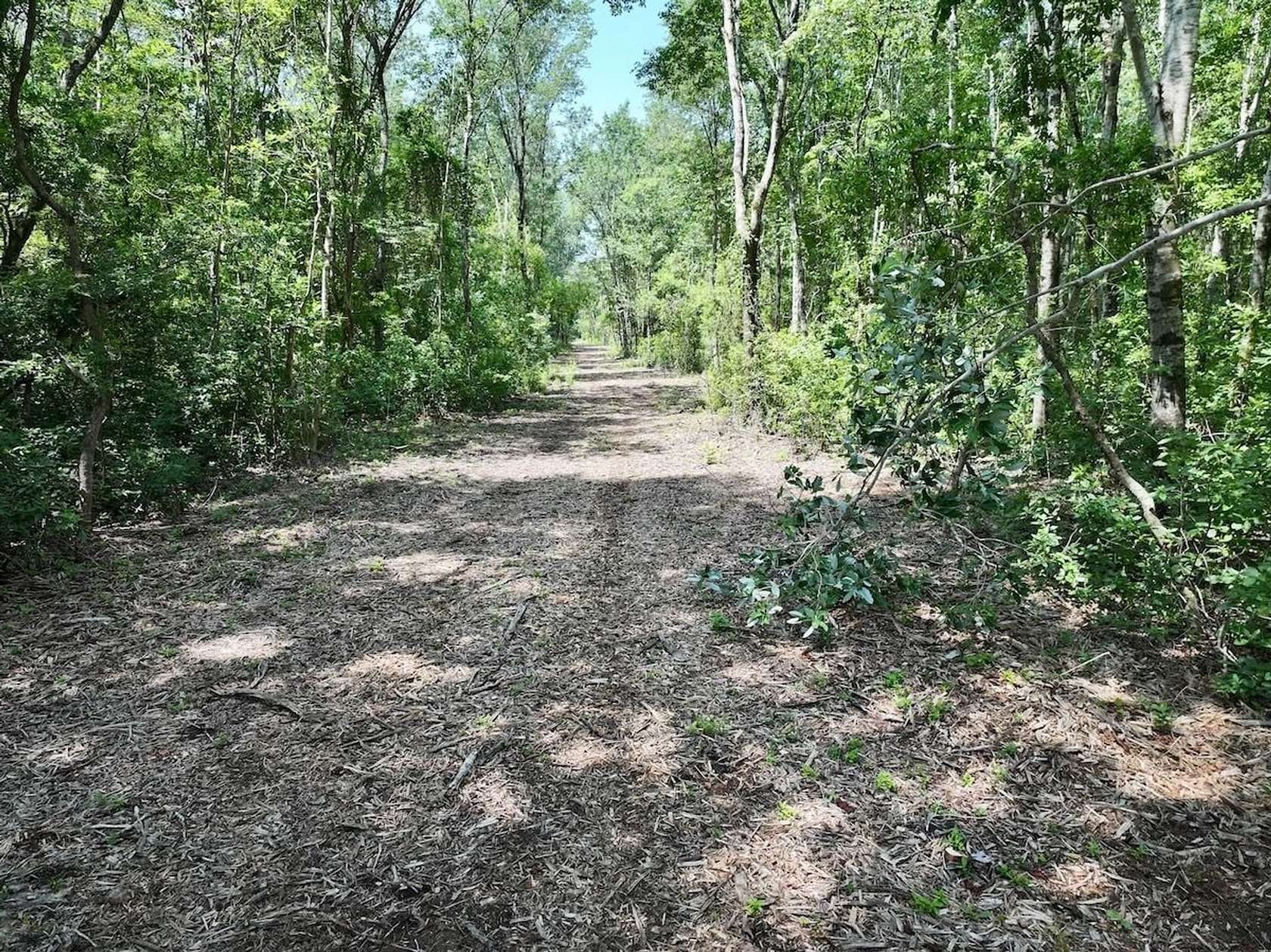 34.3 Acres of Recreational & Residential Land for Sale in Ernul, North Carolina