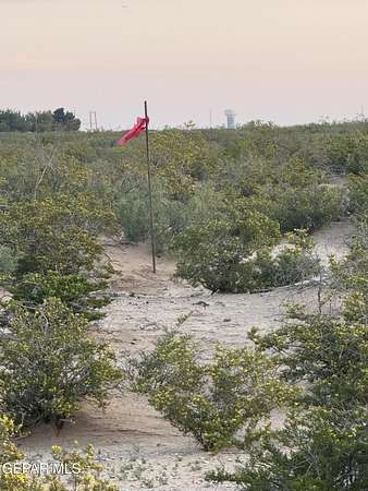 0.51 Acres of Land for Sale in Horizon City, Texas