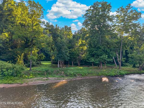 36.8 Acres of Recreational & Residential Land for Sale in Del Rio, Tennessee