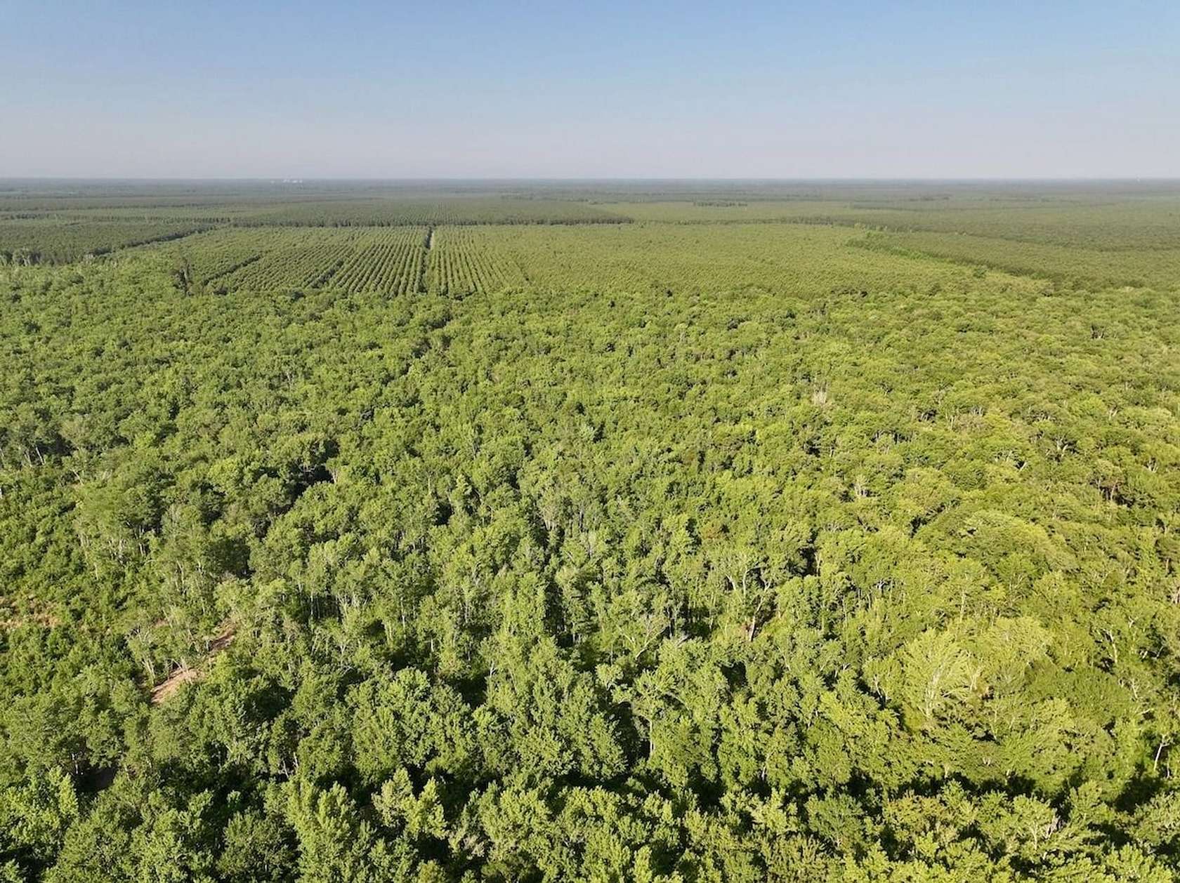 35.7 Acres of Recreational & Residential Land for Sale in Ernul, North Carolina